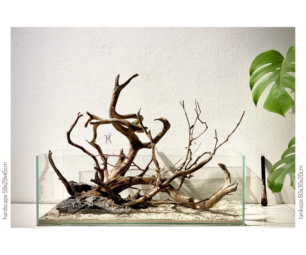 Hardscape No4