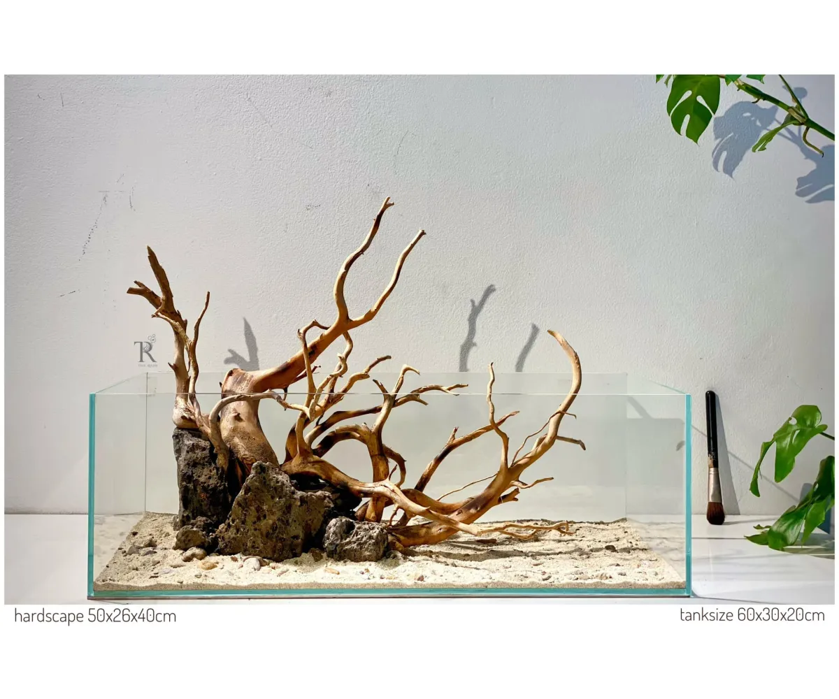 Hardscape No121