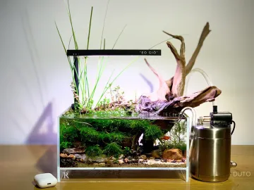 "Eo Gió" nano tank