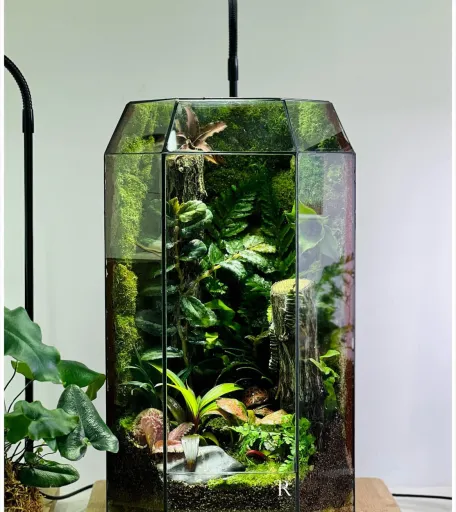 TÌM HIỂU VỀ TERRARIUM, PALUDARIUM, VIVARIUM,CÓ PHẢI LÀ MỘT?